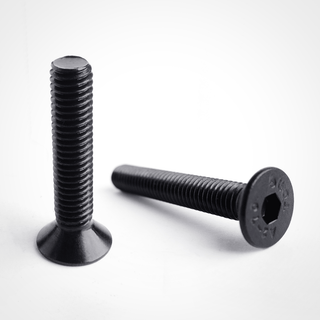 Black stainless steel countersunk screws