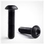 Black stainless steel socket button M10 x 30mm Pack of 1 Sample