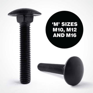 Black Stainless Steel Carriage Bolts M10+