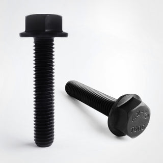 Black Stainless Hex Head Flange