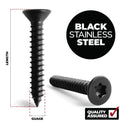 Black Stainless Steel Torx Countersunk Self Tapping Screw