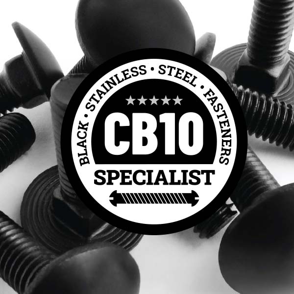 Black Stainless Steel Carriage Bolts