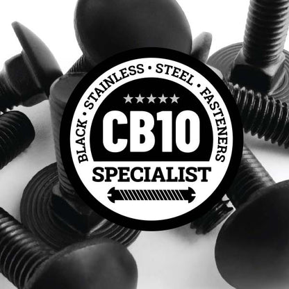 Black Stainless Steel Carriage Bolts