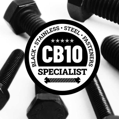 Black Stainless Steel Hex Head Bolts