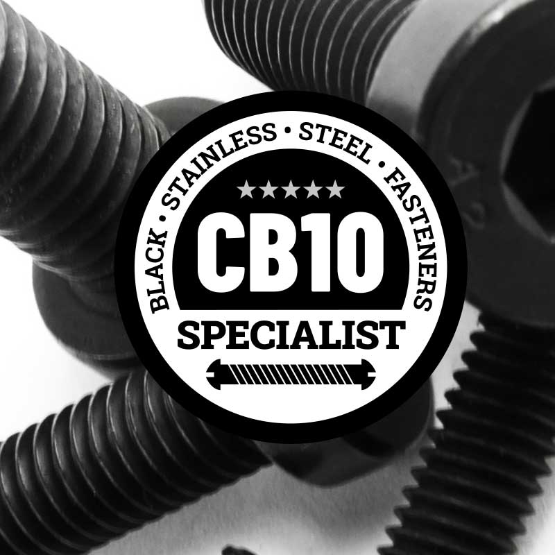 Black Stainless Steel Socket Cap Low Head