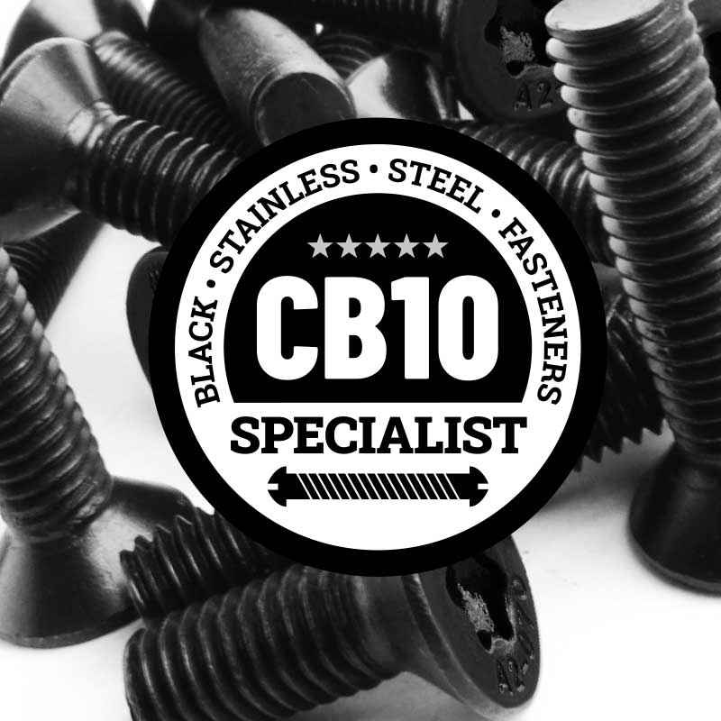 Black Stainless Steel Torx Countersunk