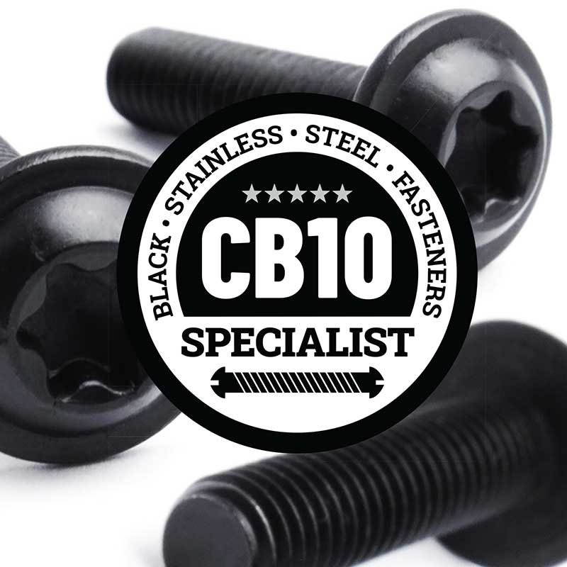 Black Stainless Steel Torx Button Flange