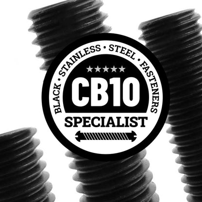 Black Stainless Steel Socket Cup Point Set Screw