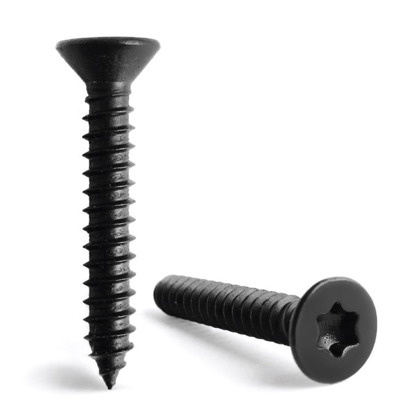 Black Stainless Steel Torx Countersunk Self Tapping Screw