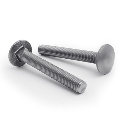Stainless Steel Carriage Bolts