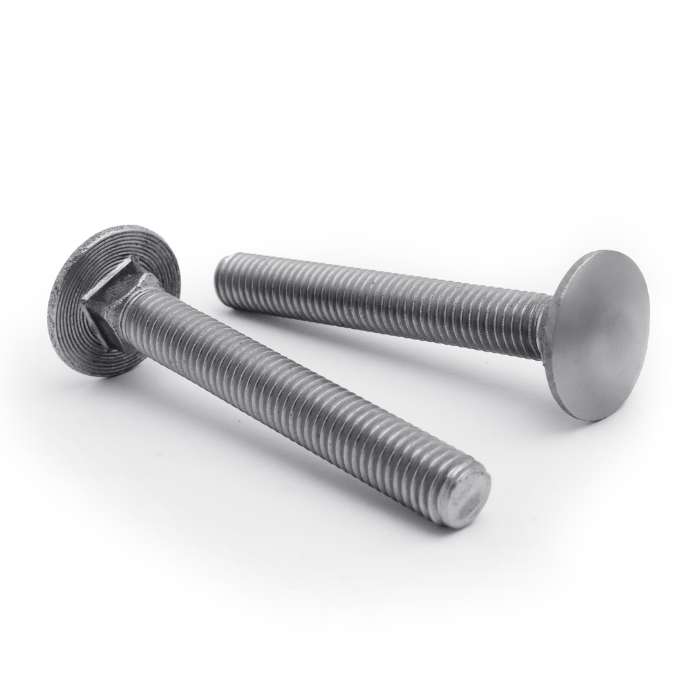 Stainless Steel Carriage Bolts