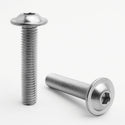 Stainless Steel Socket Button Flange