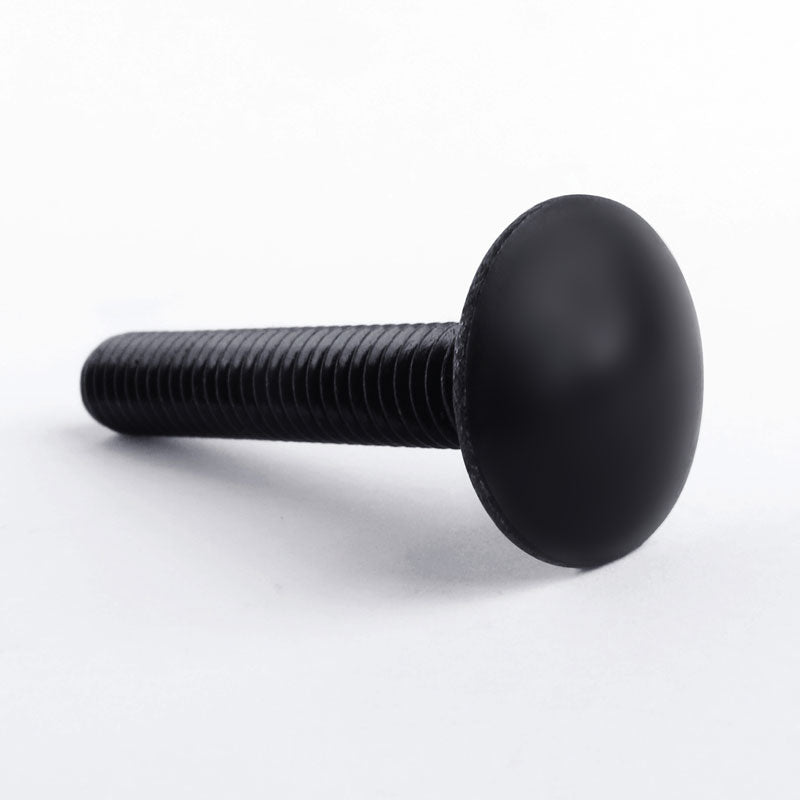 Carriage Bolts Black Stainless Steel DIN 603