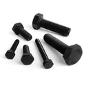 Black Stainless Steel Hex Head