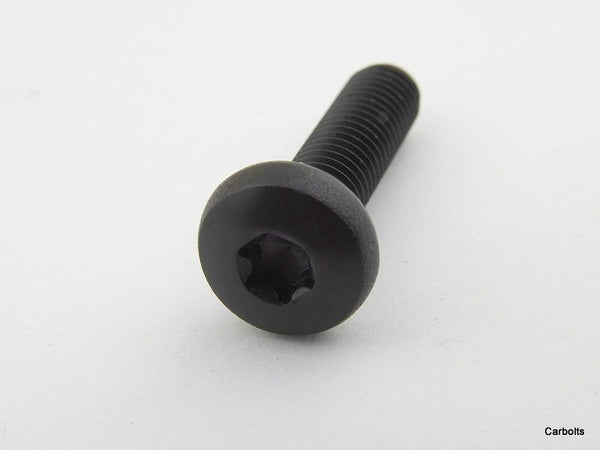 Black Stainless Steel Torx Pan Head Machine Screws