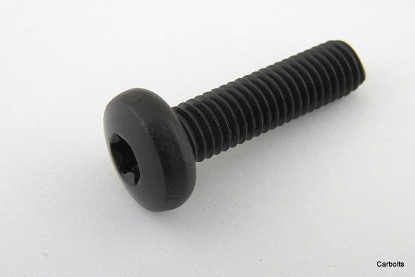 Black Stainless Steel Torx Pan Head Machine Screws